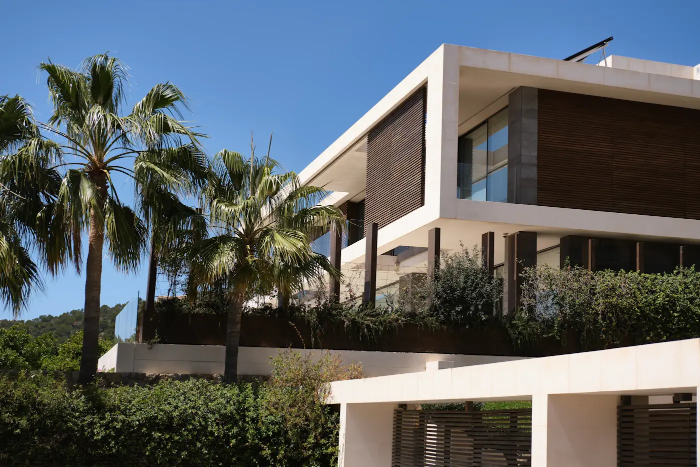 Luxurious modern house exterior among palm trees